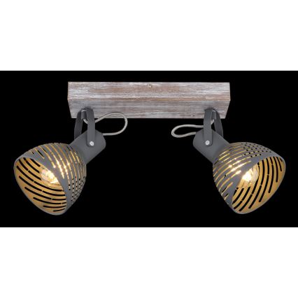 Globo - Reflektorska lampa 2xE27/40W/230V