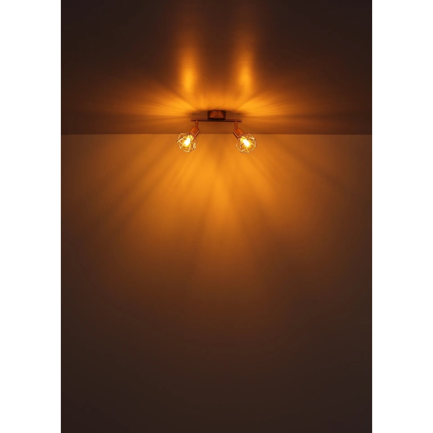 Globo - Reflektorska lampa 2xE14/40W/230V zlatna