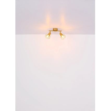Globo - Reflektorska lampa 2xE14/40W/230V zlatna