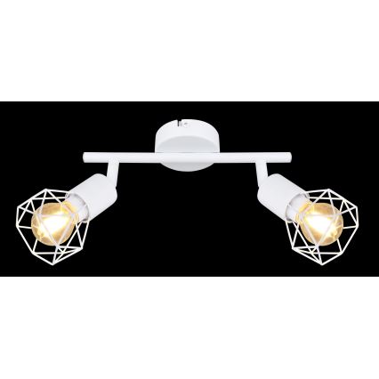 Globo - Reflektorska lampa 2xE14/40W/230V