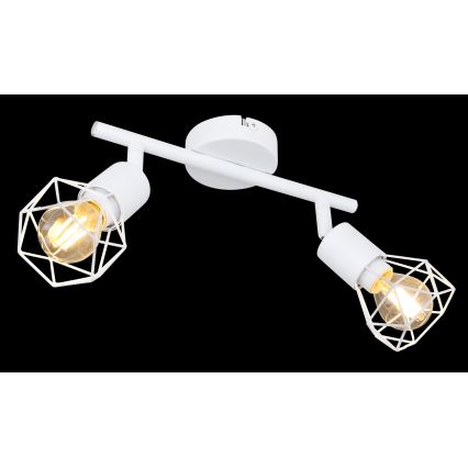 Globo - Spot svetiljka 2xE14/40W/230V