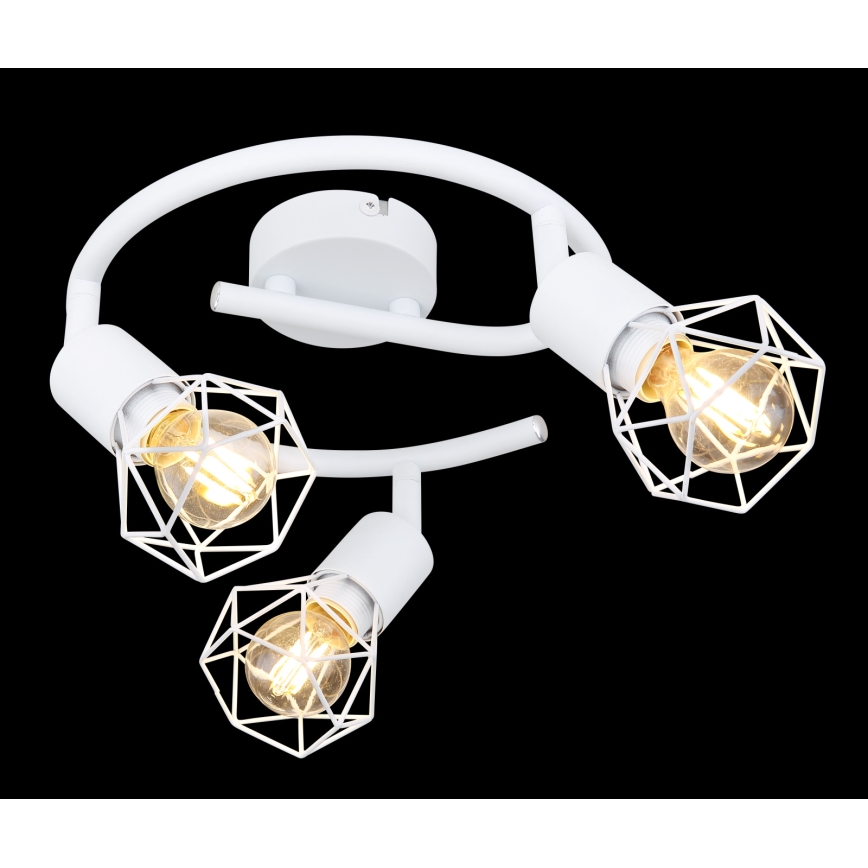 Globo - Reflektorska lampa 3xE14/40W/230V