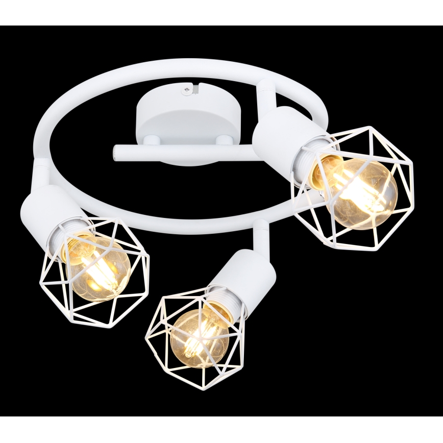 Globo - Reflektorska lampa 3xE14/40W/230V