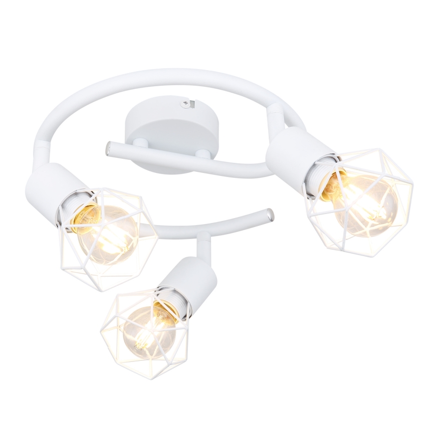 Globo - Reflektorska lampa 3xE14/40W/230V