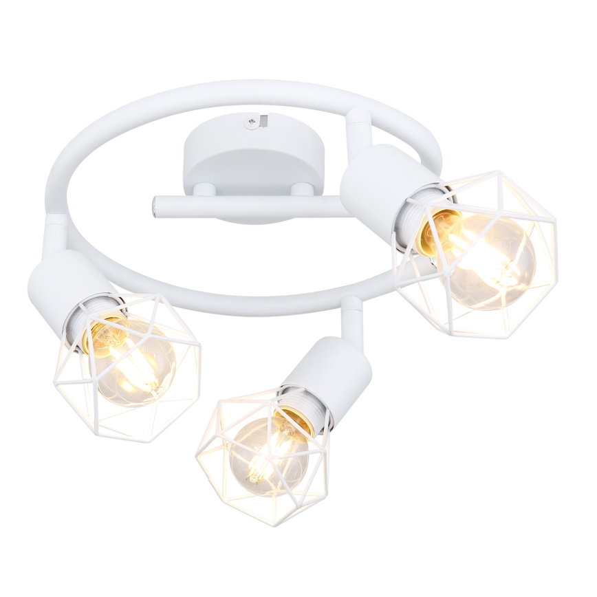 Globo - Reflektorska lampa 3xE14/40W/230V