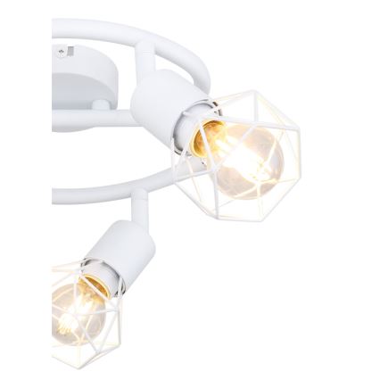 Globo - Reflektorska lampa 3xE14/40W/230V