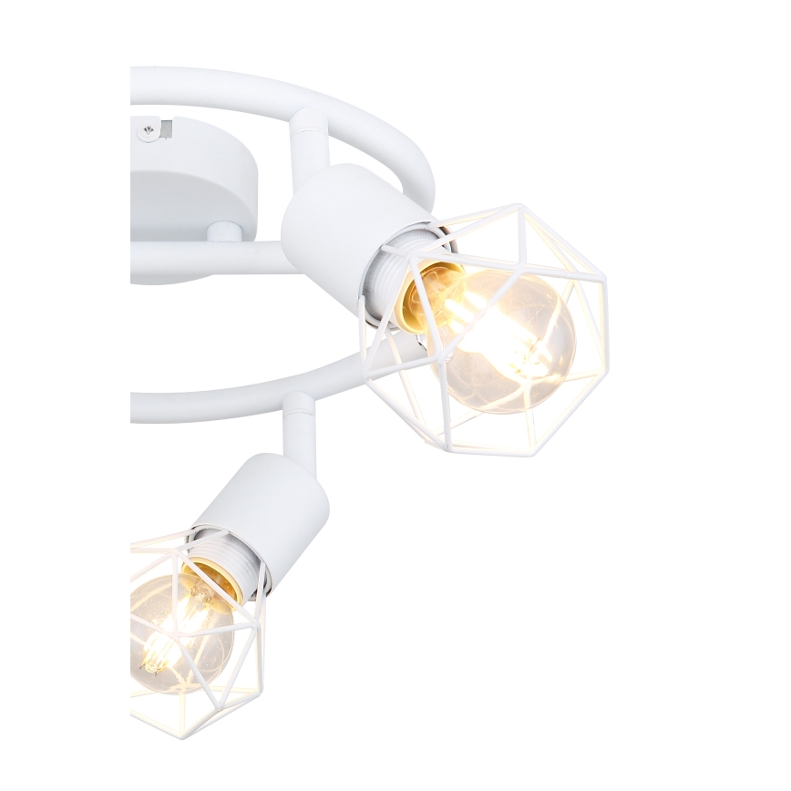 Globo - Reflektorska lampa 3xE14/40W/230V