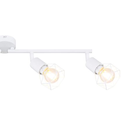 Globo - Reflektorska lampa 4xE14/40W/230V