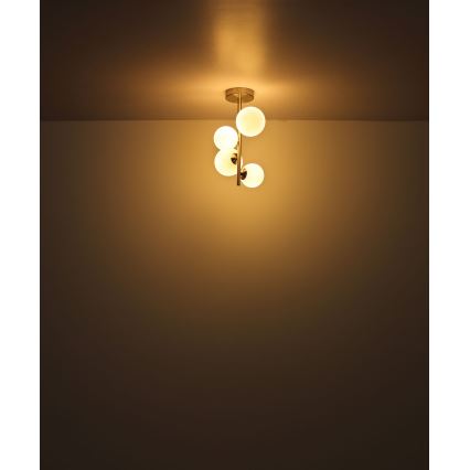 Globo - LED Viseći luster 4xG9/3W/230V mat krom