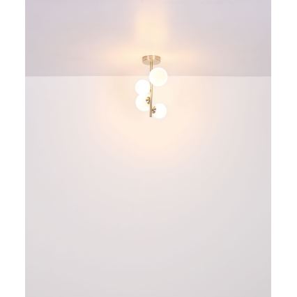 Globo - LED Viseći luster 4xG9/3W/230V mat krom