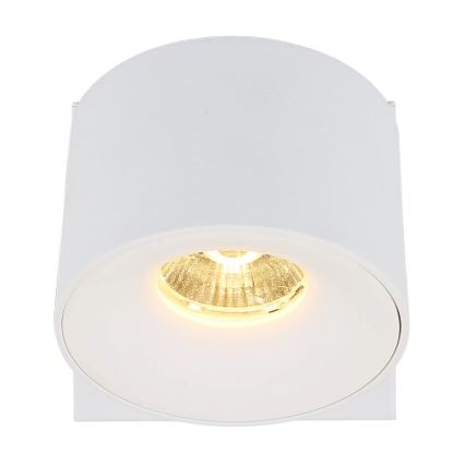 Globo - LED Zidna reflektorska lampa LED/6W/230V bela