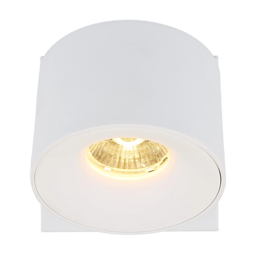 Globo - LED Zidna reflektorska lampa LED/6W/230V bela