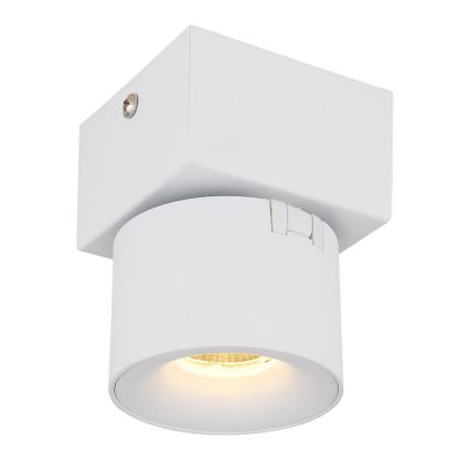 Globo - LED Zidna reflektorska lampa LED/6W/230V bela