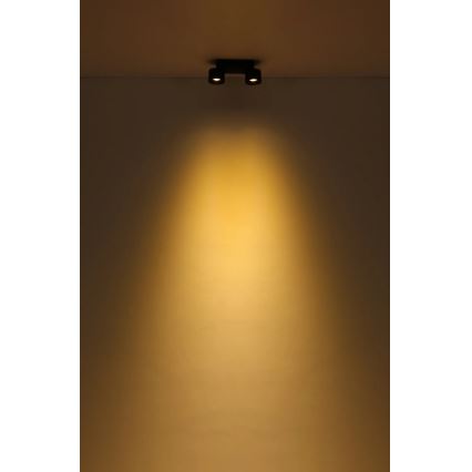 Globo - LED Reflektorska lampa 2xLED/6W/230V crno
