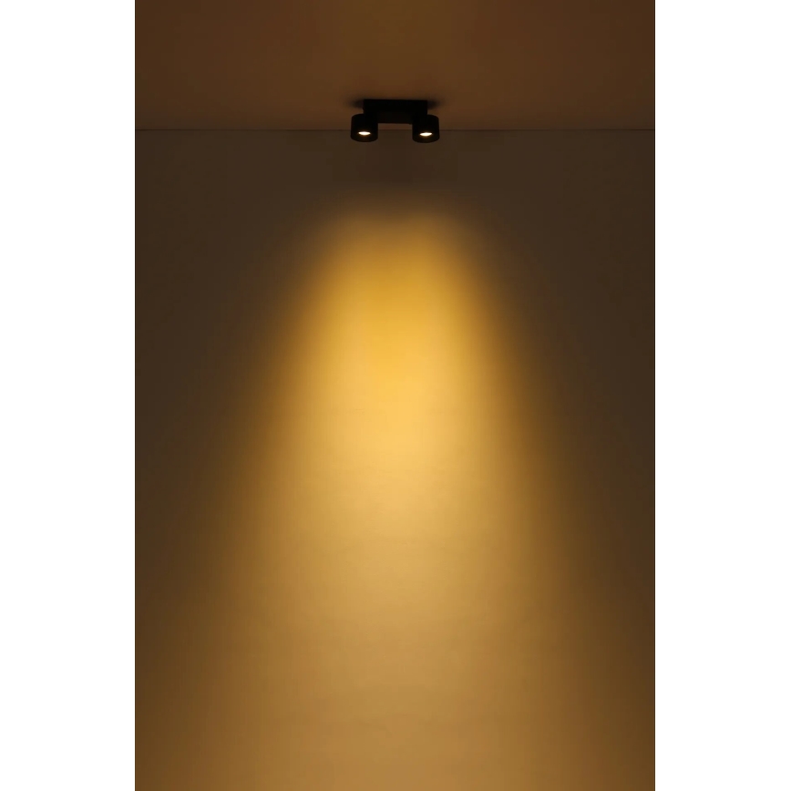 Globo - LED Reflektorska lampa 2xLED/6W/230V crno