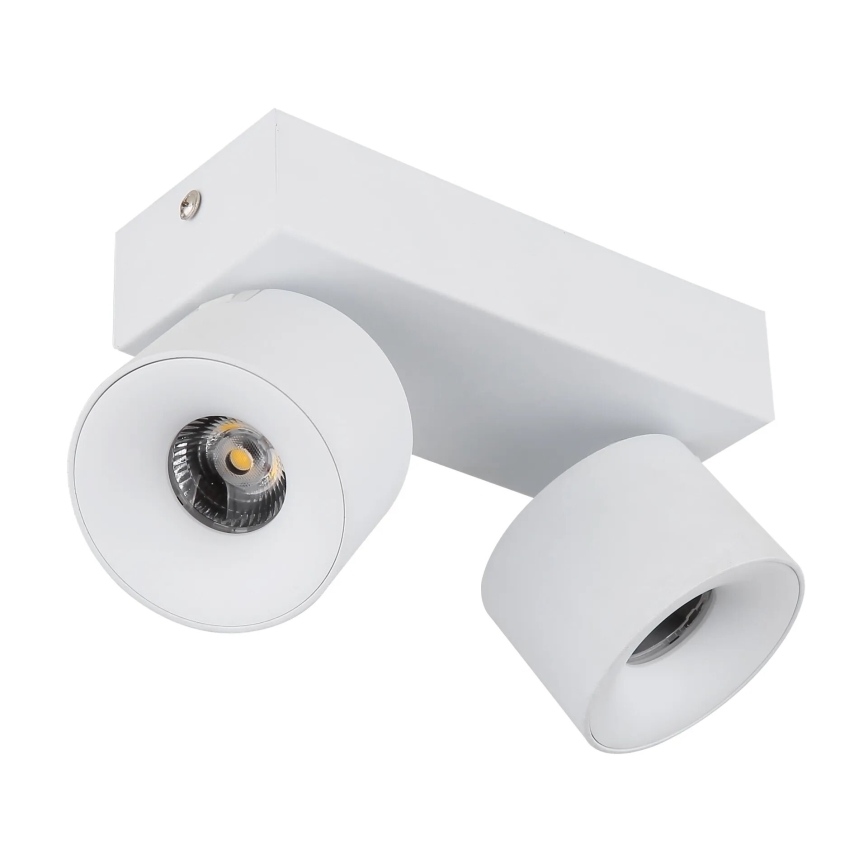 Globo - LED Reflektorska lampa 2xLED/6W/230V bela