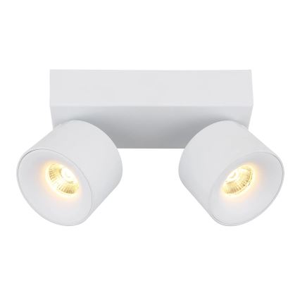 Globo - LED Reflektorska lampa 2xLED/6W/230V bela