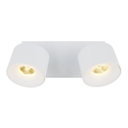 Globo - LED Reflektorska lampa 2xLED/6W/230V bela