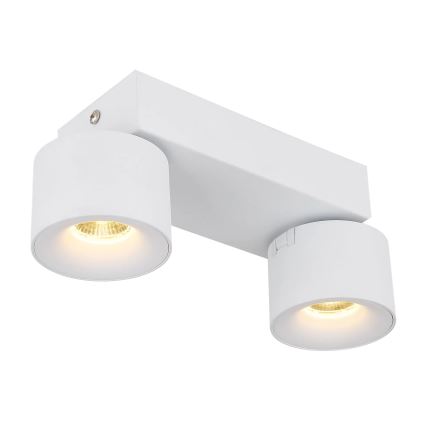 Globo - LED Reflektorska lampa 2xLED/6W/230V bela