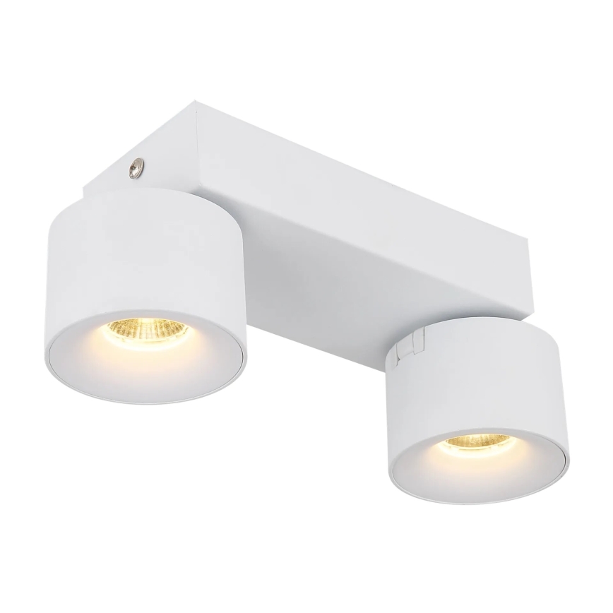 Globo - LED Reflektorska lampa 2xLED/6W/230V bela