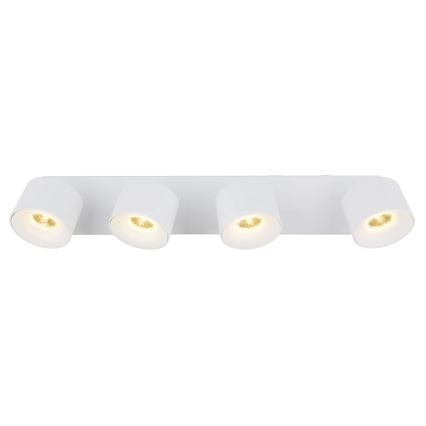 Globo - LED Reflektorska lampa 4xLED/6W/230V bela
