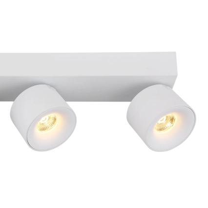 Globo - LED Reflektorska lampa 4xLED/6W/230V bela