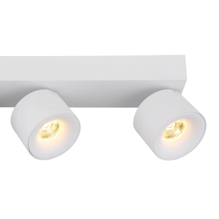 Globo - LED Reflektorska lampa 4xLED/6W/230V bela
