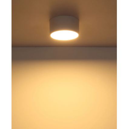 Globo - LED plafonsko svetlo LED/12W/230V 3000K, prečnik 15 cm, bela