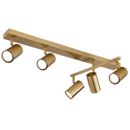 Globo - Spot svetiljka 5xGU10/35W/230V zlatna