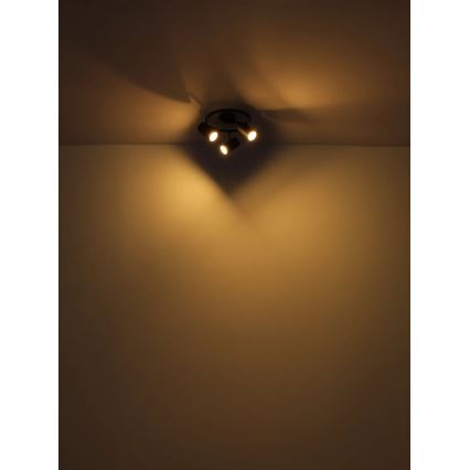 Globo - Reflektorska lampa 3xGU10/25W/230V crno