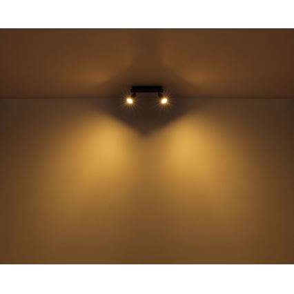 Globo - Reflektorska lampa 2xGU10/35W/230V crno