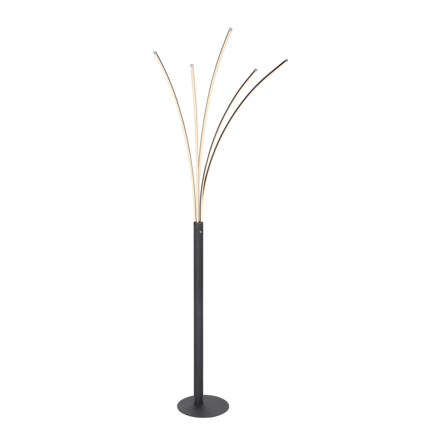 Globo - LED prigušiva dodirna podna lampa LED/36W/230V crna