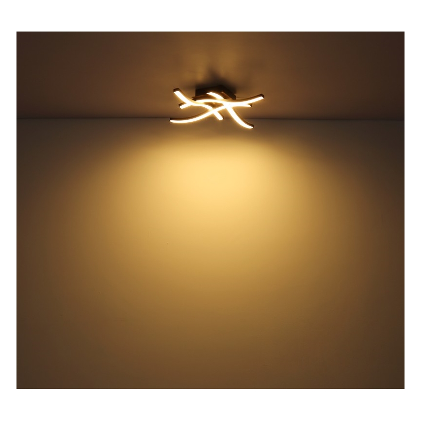 Globo - LED Nadgradni luster 4xLED/5W/230V