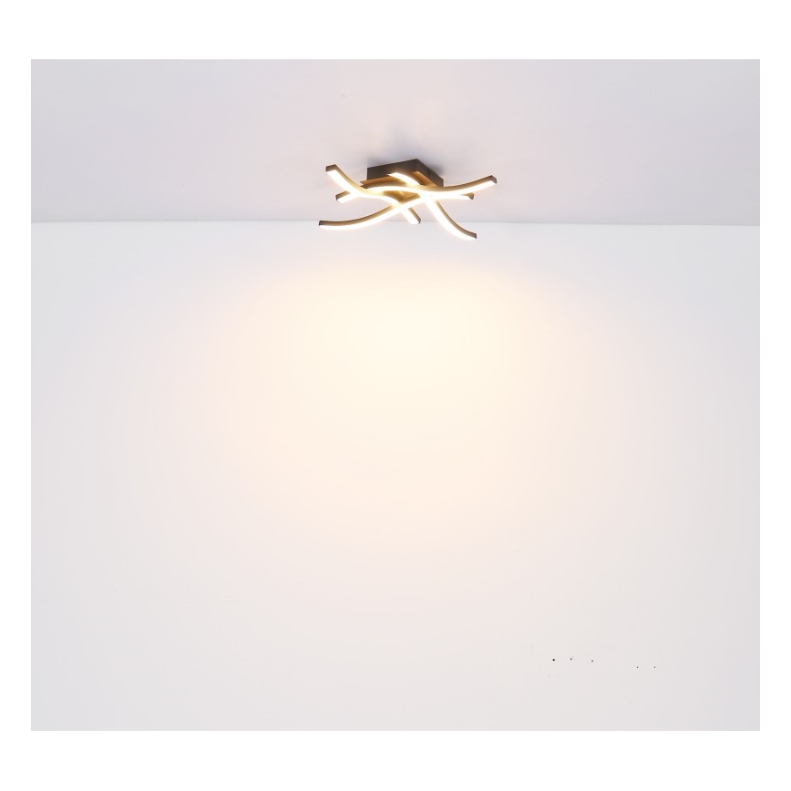 Globo - LED Nadgradni luster 4xLED/5W/230V