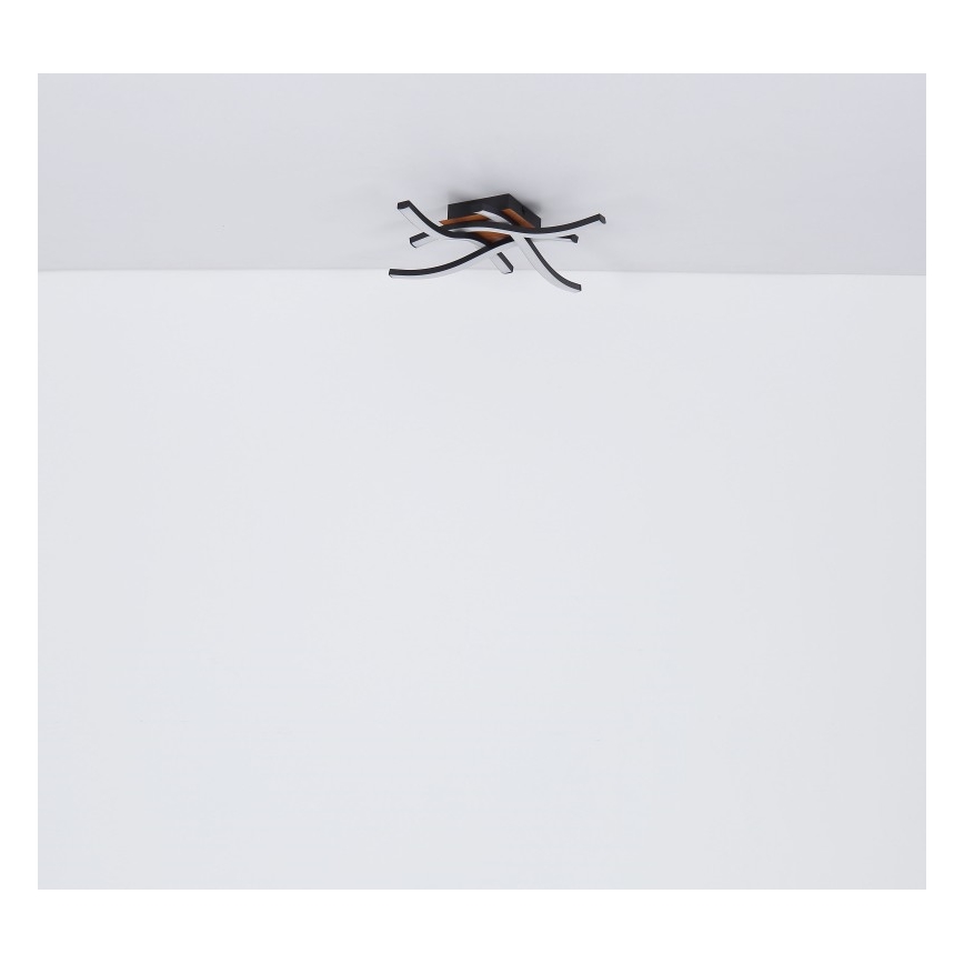 Globo - LED Nadgradni luster 4xLED/5W/230V