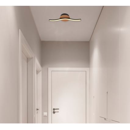 Globo - LED Plafonjera LED/6W/230V