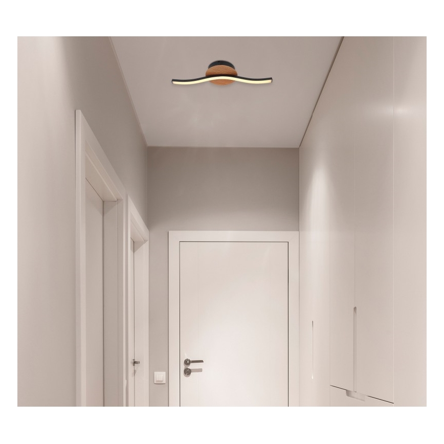 Globo - LED Plafonjera LED/6W/230V