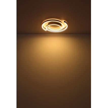 Globo - LED Plafonjera LED/38W/230V