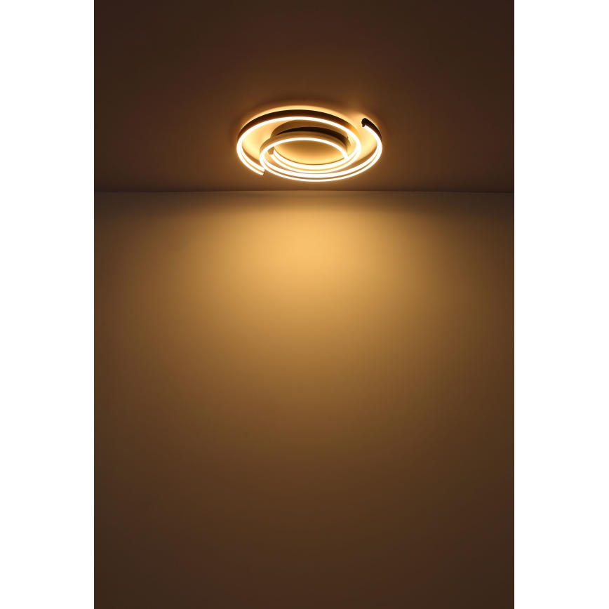 Globo - LED Plafonjera LED/38W/230V
