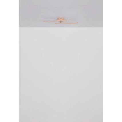 Globo - LED Nadgradni luster LED/12W/230V 3000K narandžasta