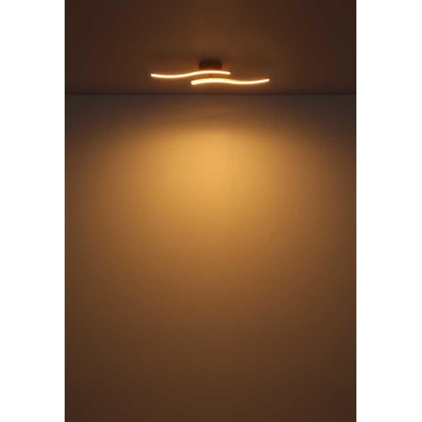 Globo - LED Nadgradni luster LED/12W/230V 3000K bela