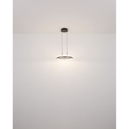Globo - LED luster na sajli, LED/40W/230V, 3000/4000/6000K, prečnik 39,7 cm