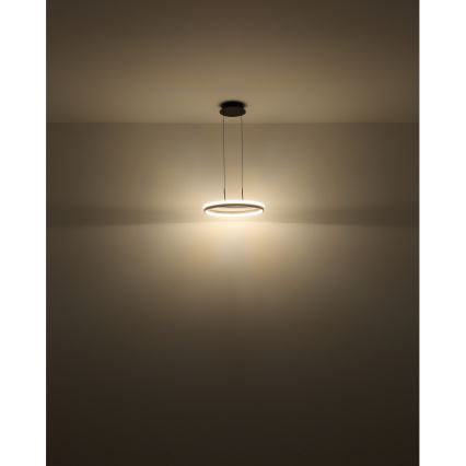 Globo - LED luster na sajli, LED/40W/230V, 3000/4000/6000K, prečnik 39,7 cm