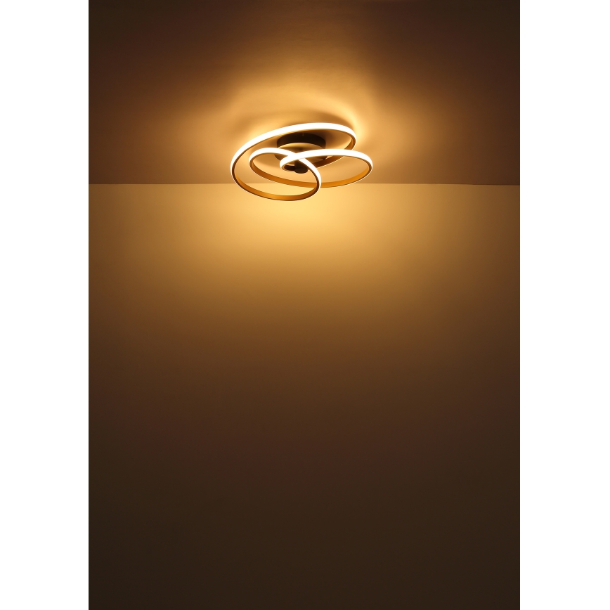 Globo - LED Nadgradni luster LED/40W/230V 3000K mat krom/crno