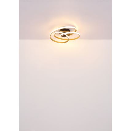 Globo - LED Nadgradni luster LED/40W/230V 3000K mat krom/crno
