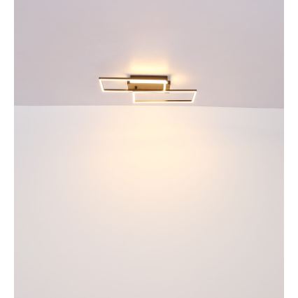 Globo - LED plafonsko svetlo LED/40W/230V 62x27 cm mat hrom/crna
