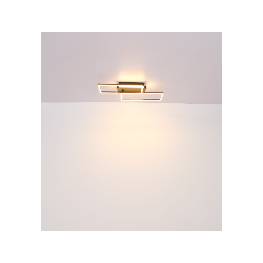 Globo - LED plafonsko svetlo LED/40W/230V 62x27 cm mat hrom/crna