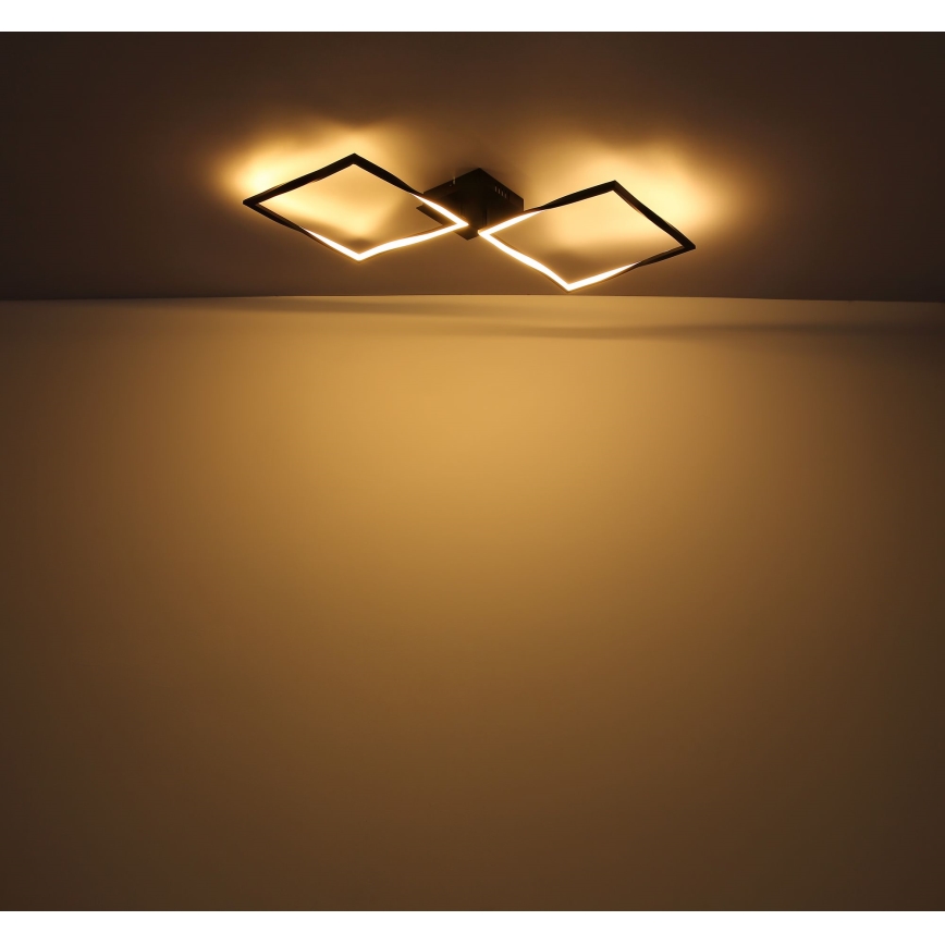 Globo - LED Plafonjera LED/24W/230V