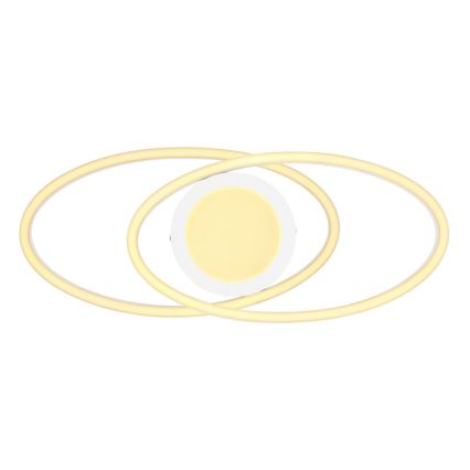 Globo - LED Plafonjera LED/24W/230V