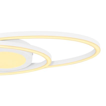 Globo - LED Plafonjera LED/24W/230V
